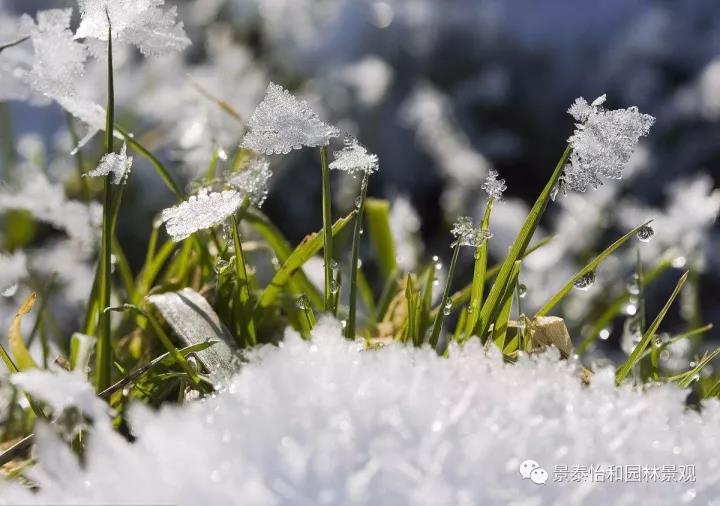 <b>����ͥԺ���^�cֲ���o(h��)��</b>