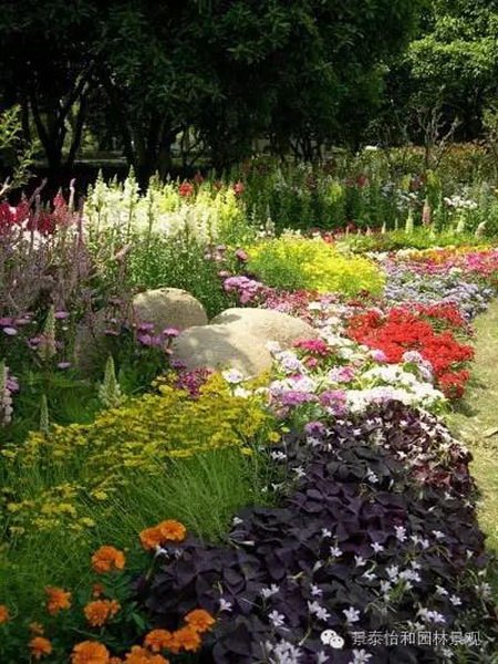 ���@ֲ��---���ַN���߷��B��