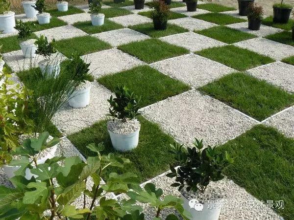 ��ƺ�ݵ���ֲ�c�B�o���g